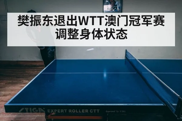 樊振东退出WTT澳门冠军赛 调整身体状态（aitiyu）
